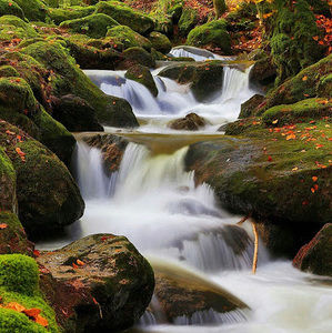 Meet your Posher, Noel